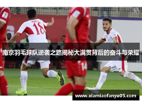 南京羽毛球队逆袭之路揭秘大满贯背后的奋斗与荣耀