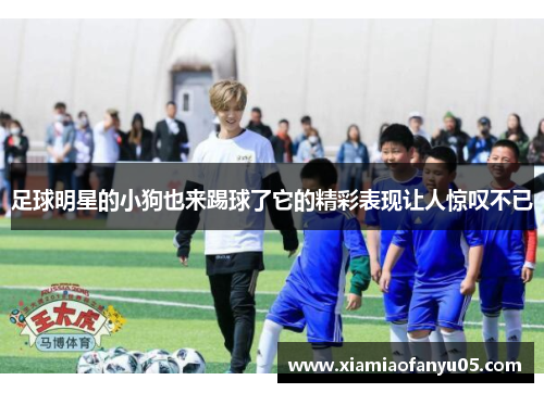 足球明星的小狗也来踢球了它的精彩表现让人惊叹不已