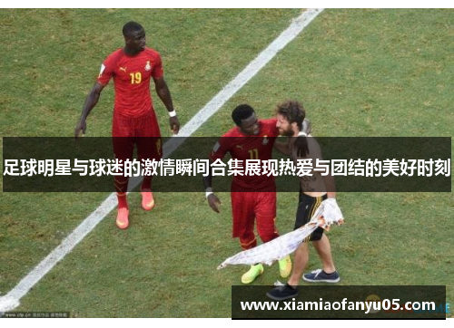 足球明星与球迷的激情瞬间合集展现热爱与团结的美好时刻
