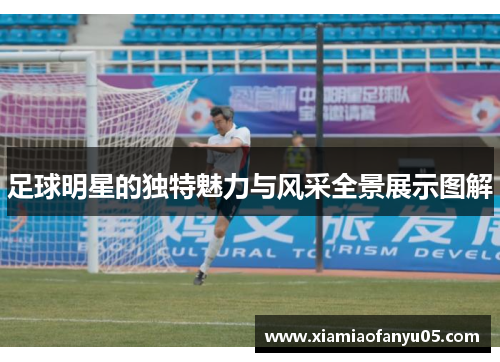 足球明星的独特魅力与风采全景展示图解